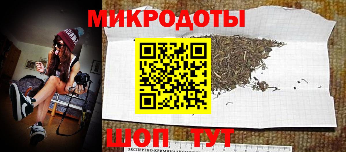 Псилоцибиновые грибы GOLDEN TEACHER  Вход с VPN  Псилоцибиновые грибы GOLDEN TEACHER  Ачхой-Мартан 