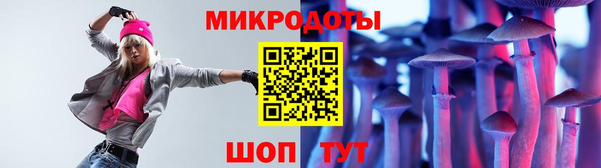 Псилоцибиновые грибы мицелий Ачхой-Мартан